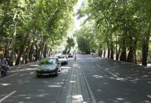جریمه ۱۶۷ میلیارد تومانی مالک متخلف برای خشک کردن عمدی درختان خیابان ولیعصر