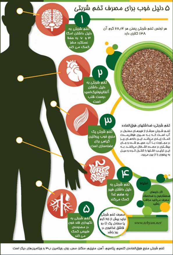 تقویت عملکرد مغز با مصرف این گیاه