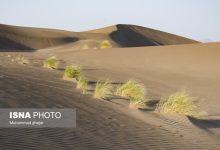 مفقودی ۱۵ گردشگر در کویر طبس/ تیم امداد و نجات در جست و جو است