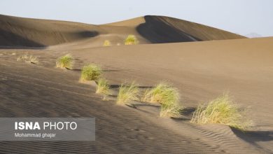 مفقودی ۱۵ گردشگر در کویر طبس/ تیم امداد و نجات در جست و جو است