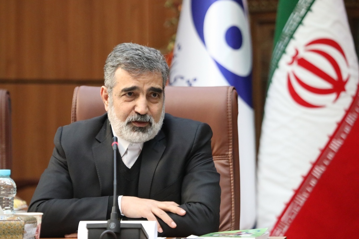 کمالوندی: معاون گروسی برای تداوم مذاکرات فنی به ایران سفر میکند