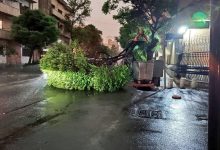 طوفان در تهران یک کشته و ٢۴ نفر زخمی برجا گذاشت
