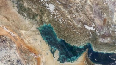 دبیر شورای اطلاع‌رسانی دولت: خلیج فارس، خانه ماست