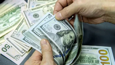 پیش فروش ارز توسط بانک مرکزی/ چه کسانی می‌توانند پیش‌خرید کنند؟