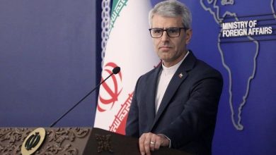 واکنش سخنگوی وزارت خارجه به نقش «اخلال‌گرانه» فرانسه