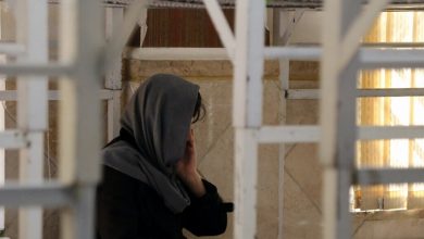 نجفی، عضو شورای شهر: زنان در معرض ۱۲۰ نوع آسیب اجتماعی/ ۶ میلیون زن در کشور سرپرست خانوار هستند