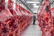 نظارت بر بازار گوشت شقه: از ۷۰۰ هزار تومان در تهران تا ۵۰۰ هزار تومان در لرستان