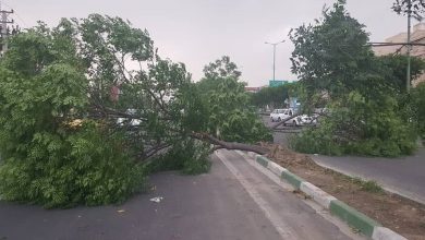 وزش باد شدید در پایتخت