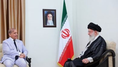 دیدار نخست وزیر پاکستان با مقام معظم رهبری