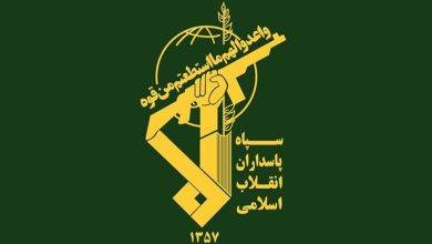 انهدام شبکه سازمان یافته ضدامنیتی در کرمان توسط سپاه