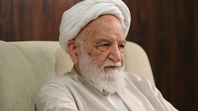 مسعودی خمینی: کسانی که مخالف ظریف بودند، مخالف کل انقلاب‌اند