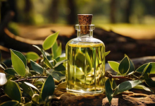 فواید روغن اکالیپتوس برای تسکین مشکلات تنفسی