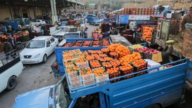 پیاز، سیب‌زمینی و گوجه‌فرنگی دوباره گران شد/ ماجرای افزایش ۵۰ درصدی قیمت میوه چیست؟