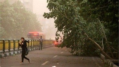 آمار مصدومان طوفان شب گذشته در تهران اعلام شد