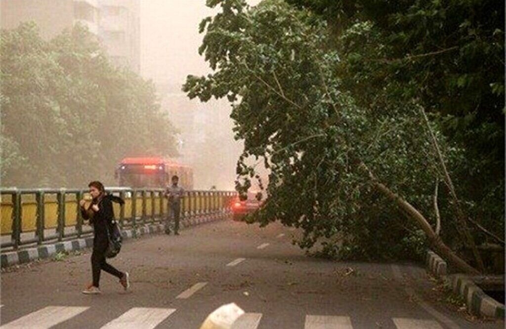 آمار مصدومان طوفان شب گذشته در تهران اعلام شد