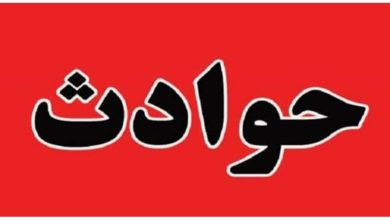 سرقت 8 میلیارد تومانی از آجیل‌فروشی معروف توسط خانمی که مدیر مالی بود