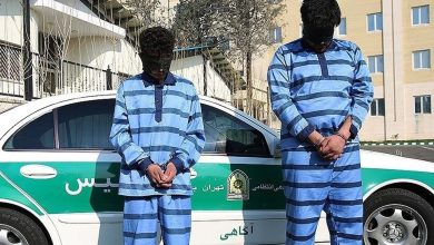 حکم عاملان سرقت مرگبار از دانشجوی دانشگاه تهران تایید شد/ جزئیات