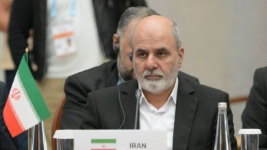 آغاز مذاکرات امنیتی میان ایران و چین با حضور دبیر شورای عالی امنیت ملی+ عکس