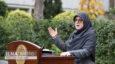 سخنگوی دولت: برای رونق تولید جذب سرمایه‌های خارجی یک راه حل است/ واگذاری فرآیندها به بخش خصوصی از برنامه‌های جدی پزشکیان است