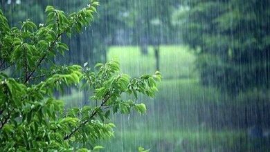 هشدار زرد هواشناسی برای ۴ استان