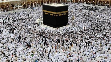 سازمان حج و زیارت اطلاعیه داد/ آمار ورود زائران ایرانی به سرزمین وحی اعلام شد