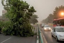 طوفان‌های تندری در تهران با سرعت بیش از ۱۰۰ کیلومتر در ساعت؛ علت چیست؟