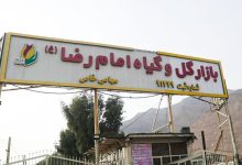 احتمال پلمب یک بازار گل و گیاه در تهران