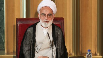 حمایت دری نجف آبادی از مذاکرات ایران و آمریکا؛ تصمیم، صددرصد حکیمانه بود/ این تصمیم، کشور را در برابر بسیاری از توطئه‌ها و نقشه‌های شیطانی بیمه می‌کند