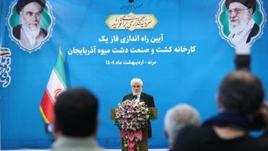 خبرهای مهم عارف درباره رفع فیلترینگ و قانون عفاف و حجاب/ برای عملیاتی شدن شعار وفاق باید کمی از خواسته‌ها کوتاه آمد؛ دولت در این مسیر هزینه داده است