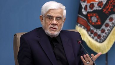 تصاویری از دیدار معاون اول رئیس جمهور با خانواده‌ شهید رئیسی و شهید رحمتی/ استقبال جمیله علم الهدی از عارف