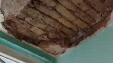 توضیح دانشگاه تهران در خصوص ریزش سقف یکی از خوابگاه‌ها