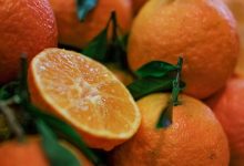خواص شگفت انگیز نارنج برای سلامتی