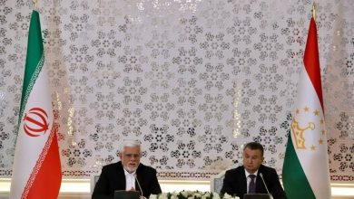 عارف: روابط سیاسی ایران و تاجیکستان در بهترین شرایط قرار دارد/ نباید به تبادل اسناد دل ببندیم