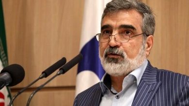 معاون سازمان انرژی اتمی: ایران تنها کشوری نیست که غنی‌سازی می‌کند و در عین حال سلاح هسته‌ای ندارد