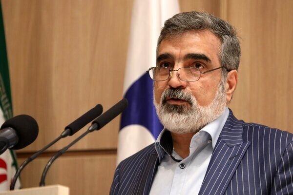 معاون سازمان انرژی اتمی: ایران تنها کشوری نیست که غنیسازی میکند و در عین حال سلاح هستهای ندارد