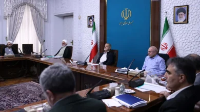 ماجرای تصمیم گیری سران قوا درباره واگذاری سهام ۲ شرکت خودروسازی چه بود؟