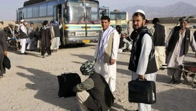 رئیس امور اتباع و مهاجرین وزارت کشور: ۴ میلیون تبعه غیرمجاز، بدون سند هویتی وارد کشور شده‌اند/ حدود ۵۰ درصد اتباع افغانستانی در تهران زندگی می‌کنند؛