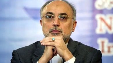 اگر پیرو راستین دین حنیف اسلام هستیم، باید برخوردار از اخلاق حسنه و مروج محبت و مدارا باشیم / برادران دینی ما در عربستان که وظیفه خطیر خادمی حرمین شریفین را بر عهده دارند، در نظر ایرانیان شایسته تقدیر و تشکر هستند