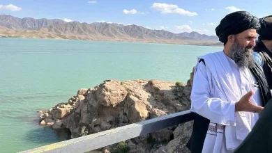 عضو کمیسیون امنیت ملی: افغانستان با سیمان ایرانی روی رودهای ایران سد می سازد