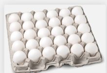 قیمت تخم مرغ درب مرغداری چند؟