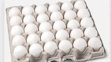 قیمت تخم مرغ درب مرغداری چند؟