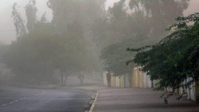 قطع برق مناطقی از استان البرز در پی طوفان