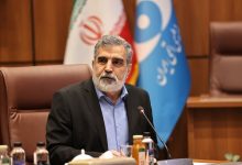 کمالوندی: برخورداری کامل از فناوری صلح‌آمیز هسته‌ای، حق ایران است