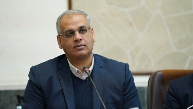 معاون وزیر کار: ساماندهی نیروی کار خارجی ضروری، اما حذف کامل ان‌ها غیرواقع بینانه است