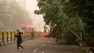 آماده‌باش تیم‌های عملیاتی هلال احمر در پی وزش باد شدید و خیزش گرد و خاک در استان تهران