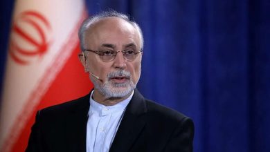 پاسخ علی‌اکبر صالحی به ادعای ترامپ: نام خلیج‌فارس با «اجازه» کسی بر آن نهاده نشده و با «توهم» کسی هم برداشته نخواهد شد/ خلیج فارس بوده، هست و خواهد بود