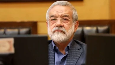 نماینده مجلس: اگر برای حجاب جریمه نباشد پس برای سارقان هم زندان را حذف کنیم!