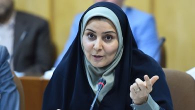 نماینده مجلس: ۵۰ نفر پیش نویس استیضاح وزیر راه را امضا کرده اند/ فرزانه صادق خودش استعفا کند تا کار به استیضاح نکشد