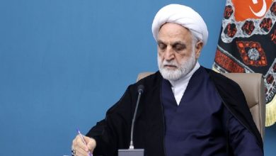 اژه‌ای: شاکیان تا حد امکان از شکایتشان صرف‌نظر کنند