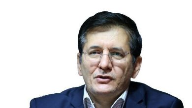 توضیحات عضو کمیسیون حقوقی مجلس درباره مجازات قاتل الهه حسین نژاد/ نمی‌توان گفت هر کسی که سابقه کیفری دارد، در هیچ جایی نباید به کار گمارده شود
